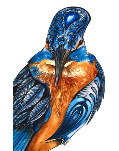 Kingfisher