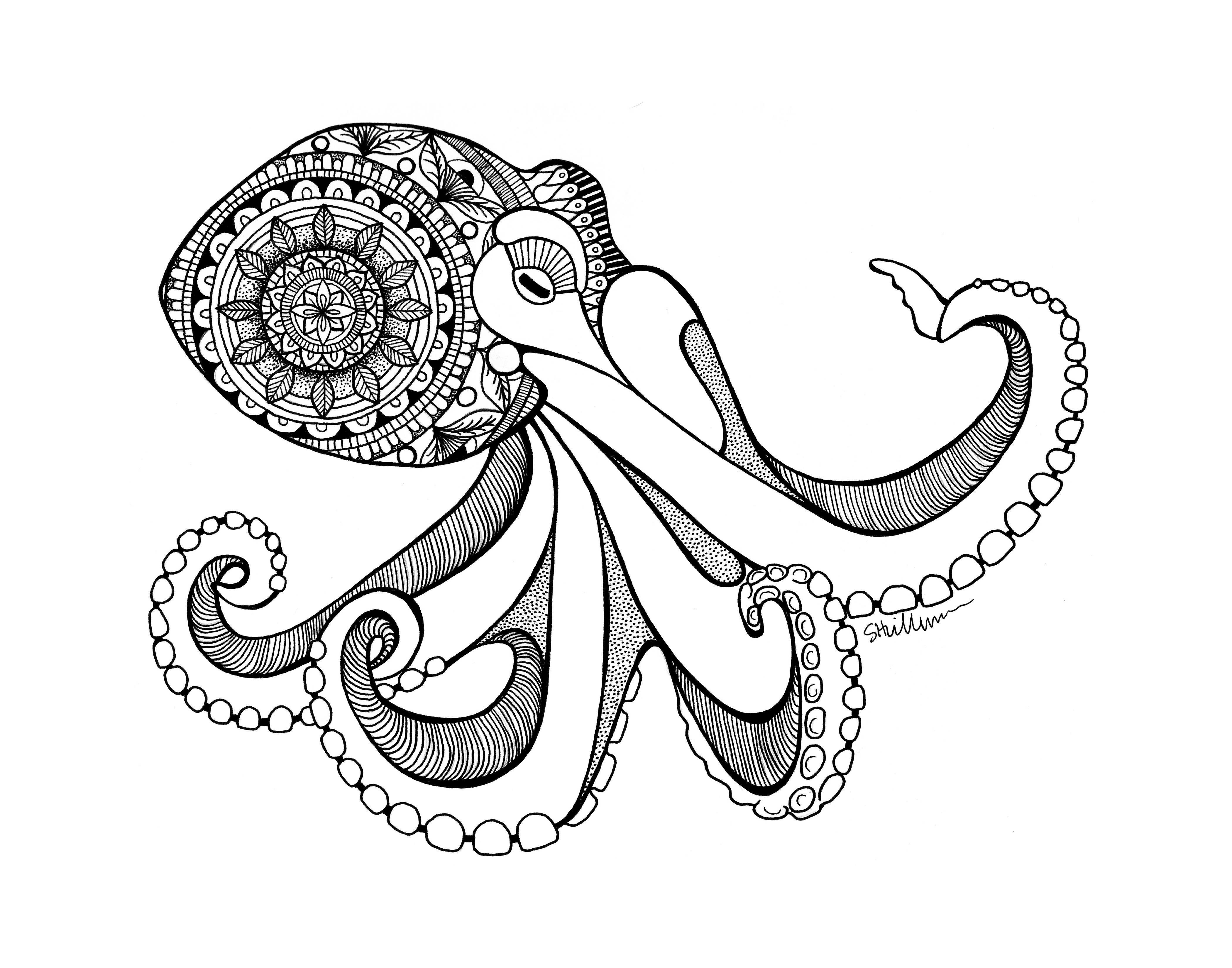 Download Octopus - Stephanie Hillman Design